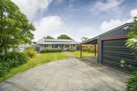 Photo of property in 406 Ruahine Street, Terrace End, Palmerston North, 4410