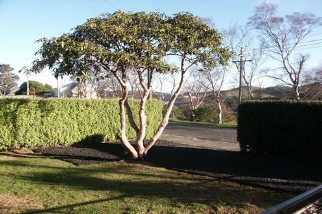 Photo of property in 34 Pitcairn Street, Belleknowes, Dunedin, 9011