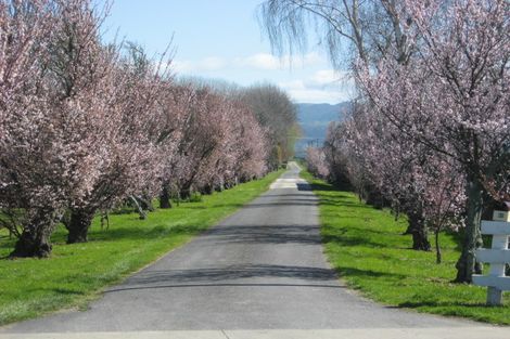 Photo of property in 65a Main Street, Edgecumbe, 3192