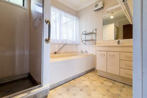 Photo of property in 60 Warwick Street, Feilding, 4702