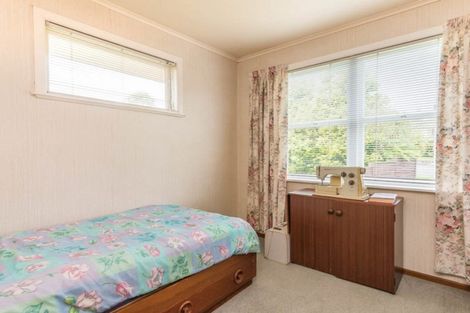 Photo of property in 125 Hutchinson Avenue, New Lynn, Auckland, 0600