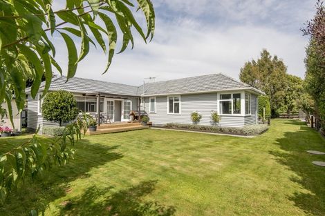 Photo of property in 274 Horndon Street, Darfield, 7510