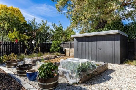 Photo of property in 183 Redwood Street, Witherlea, Blenheim, 7201