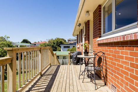 Photo of property in 25 Duckworth Street, Andersons Bay, Dunedin, 9013