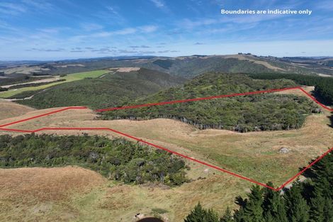 Photo of property in 205 Otokia-kuri Bush Road East, Kuri Bush, Dunedin, 9091
