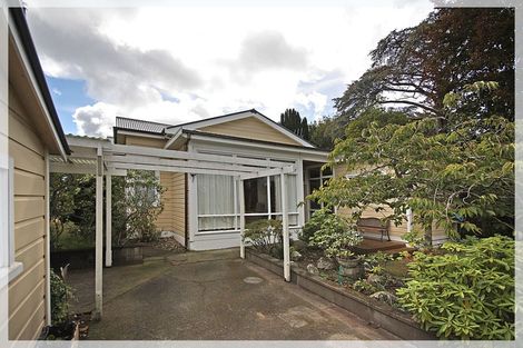 Photo of property in 79 Queen Street West, Levin, 5510