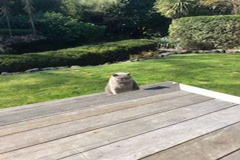 Photo of property in 154 Papanui Road, Merivale, Christchurch, 8014