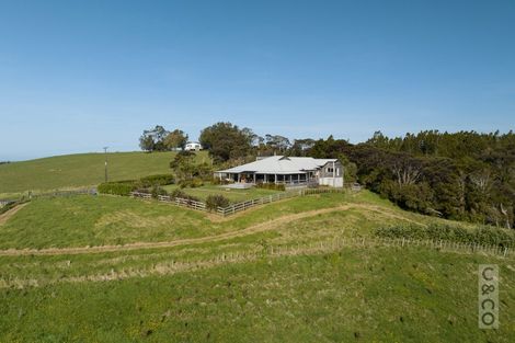 Photo of property in 457 Kiwitahi Road, Helensville, 0875