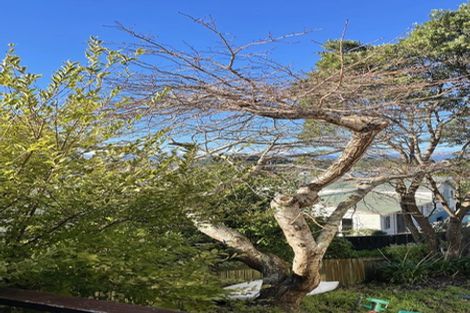 Photo of property in 52a Truscott Avenue, Johnsonville, Wellington, 6037