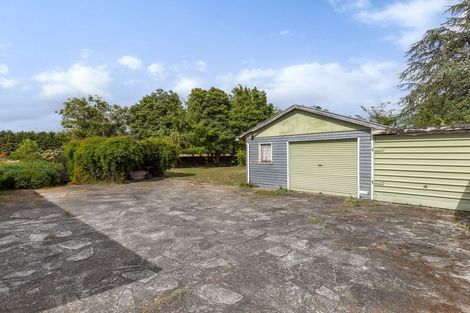 Photo of property in 89 Strathmore Avenue, Levin, 5510