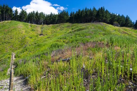 Photo of property in 242 Riverside Road, Whataupoko, Gisborne, 4010