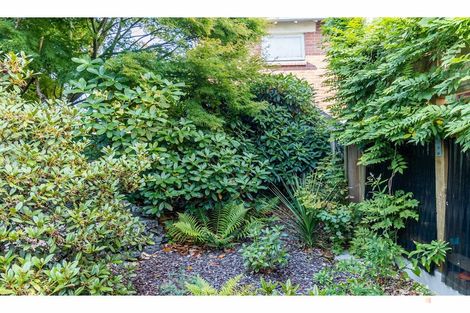 Photo of property in 62 Le Cren Street, Seaview, Timaru, 7910