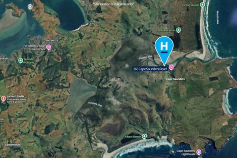 Photo of property in 265 Cape Saunders Road, Cape Saunders, Dunedin, 9077