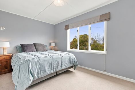 Photo of property in 6 Terrace Street, Putaruru, 3411