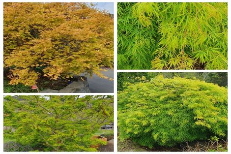 Photo of property in 128e Mauku Road, Patumahoe, Pukekohe, 2678