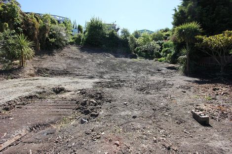 Photo of property in 32 Bellevue Place, Port Chalmers, 9023