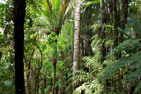 Photo of property in 244a Blackbridge Road, Dairy Flat, 0794