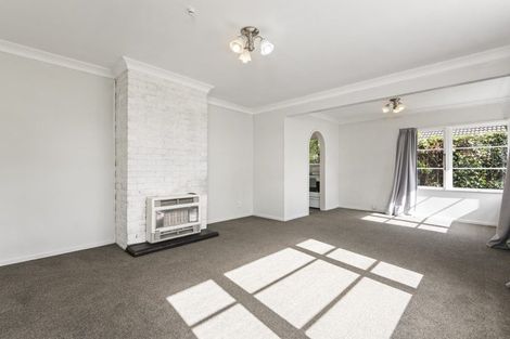 Photo of property in 390 Ruahine Street, Terrace End, Palmerston North, 4410