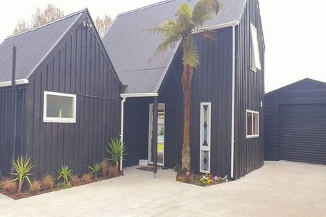 Photo of property in 29b Sussex Street, Levin, 5510