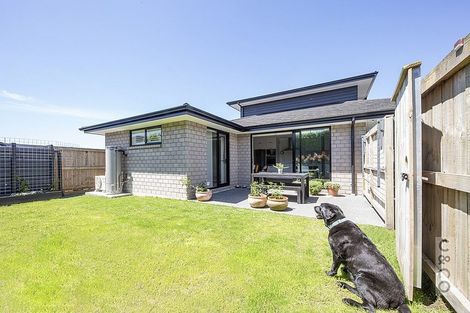 Photo of property in 17 Pitoitoi Drive, Riverhead, 0820