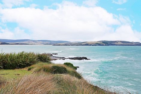 Photo of property in 491 Waikawa-curio Bay Road, Curio Bay, Tokanui, 9884