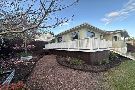 Photo of property in 46 Bellfield Road, Opaheke, Papakura, 2113