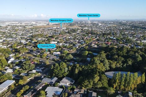 Photo of property in 1 Freshney Place, Hillpark, Auckland, 2102