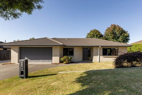Photo of property in 113 Chater Avenue, Bethlehem, Tauranga, 3110