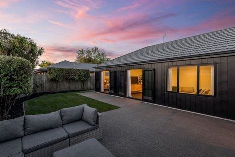 Photo of property in 137 Mcfaddens Road, St Albans, Christchurch, 8052
