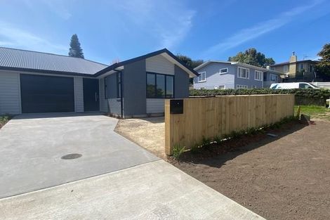 Photo of property in 199 Darraghs Road, Brookfield, Tauranga, 3110
