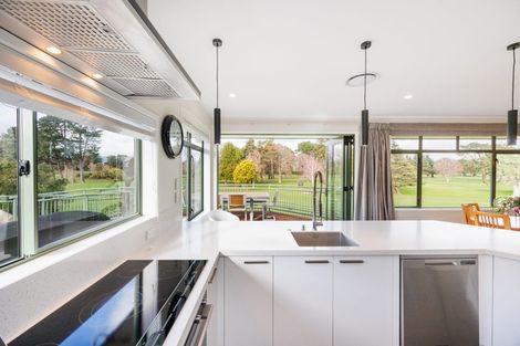 Photo of property in 22 Opawa Place, Terrace End, Palmerston North, 4410