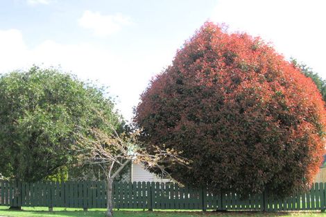 Photo of property in 14 Bruce Street, Ngongotaha, Rotorua, 3010