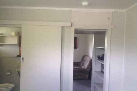 Photo of property in 124 Pukekapia Road, Rotongaro, Huntly, 3772