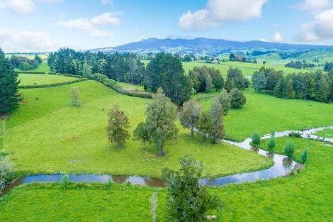 Photo of property in 957 Te Pahu Road, Te Pahu, Hamilton, 3285