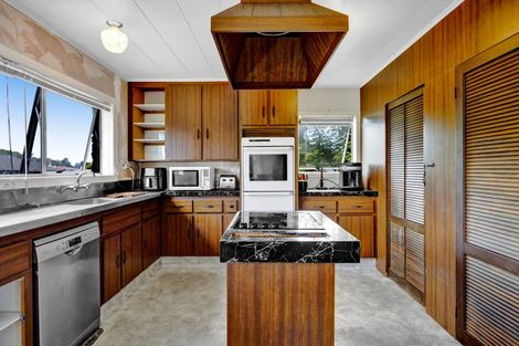 Photo of property in 19 Tybalt Street, Stratford, 4332