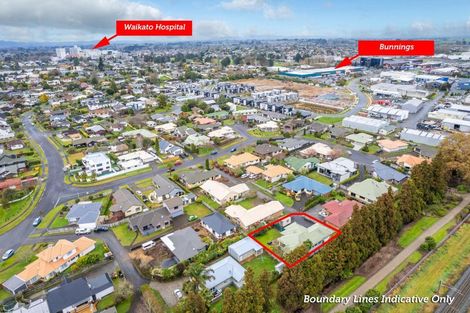 Photo of property in 12 Hastings Place, Hamilton Lake, Hamilton, 3204