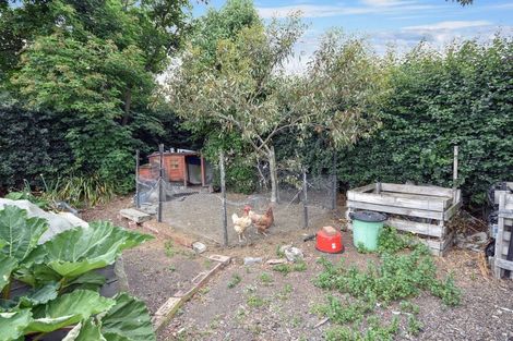 Photo of property in 38 Craig Street, Palmerston, 9430