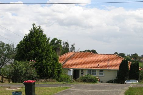 Photo of property in 19 Valonia Street, New Windsor, Auckland, 0600