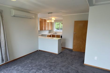 Photo of property in 17b Moreau Street, Saint Kilda, Dunedin, 9012