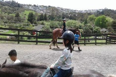 Photo of property in 32 Misty Valley Drive, Henderson, Auckland, 0612