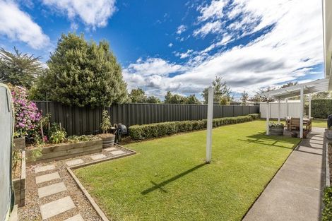 Photo of property in 9 Shanly Street, Waipawa, 4210