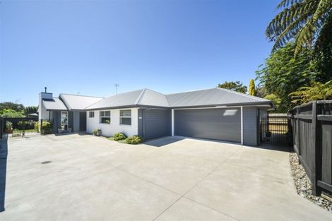 Photo of property in 417c Ruahine Street, Terrace End, Palmerston North, 4410