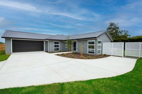 Photo of property in 6 Magnolia Place, Levin, 5510