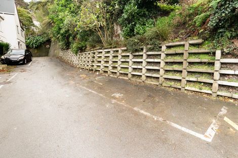 Photo of property in Sherwood Mews, 28w Bidwill Street, Mount Cook, Wellington, 6021