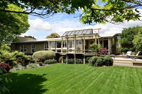 Photo of property in 28a Horne Street, Hamilton Central, Hamilton, 3204