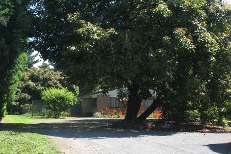 Photo of property in 41 I'anson Road, Minden, Tauranga, 3179