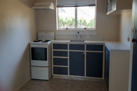 Photo of property in 3/17 Church Street, Hampstead, Ashburton, 7700