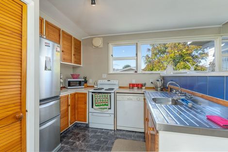 Photo of property in 46 Daniell Street, Solway, Masterton, 5810