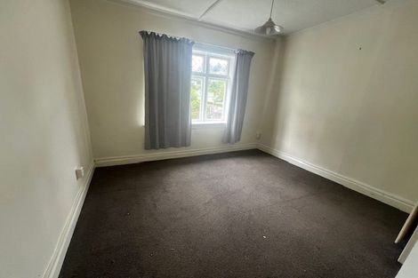 Photo of property in 217 Aro Street, Aro Valley, Wellington, 6021