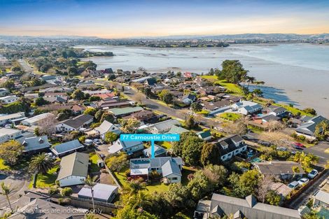 Photo of property in 77 Carnoustie Drive, Wattle Downs, Auckland, 2103